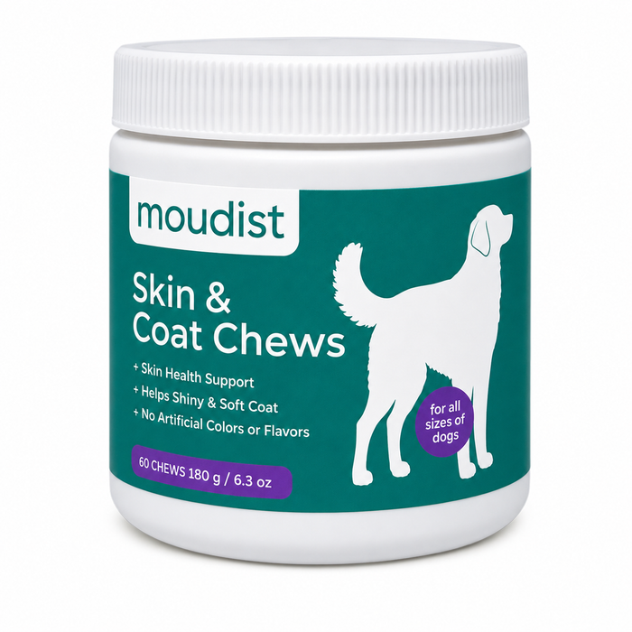Skin & Coat Chews for Dogs, Omega-3 with EPA & DHA, Skin & Coat Supplement, Shiny & Soft Coat Support, 60 Soft Chews