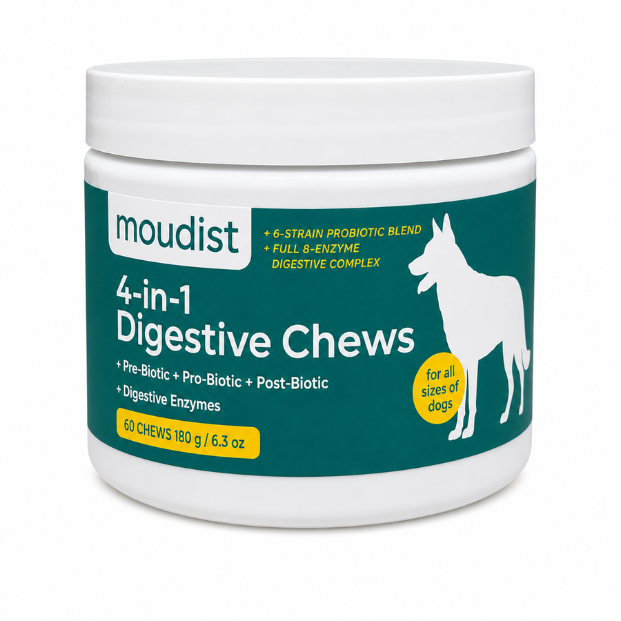 4-in-1 Digestive Chews for Dogs, Probiotics, Prebiotics & Digestive Enzymes, Gut Health Support, 60 Soft Chews